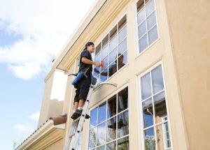 Ease Your Panes Window Cleaning Addresses Denver’s Spring Pollen Impact on Residential Windows
